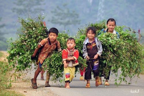 Itinéraire Vietnam 3 semaines - mon retour aux sources émouvant