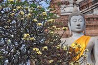 Guide de voyage à Ayutthaya, ancienne cité royale