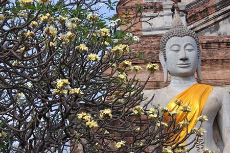 Guide de voyage à Ayutthaya, ancienne cité royale