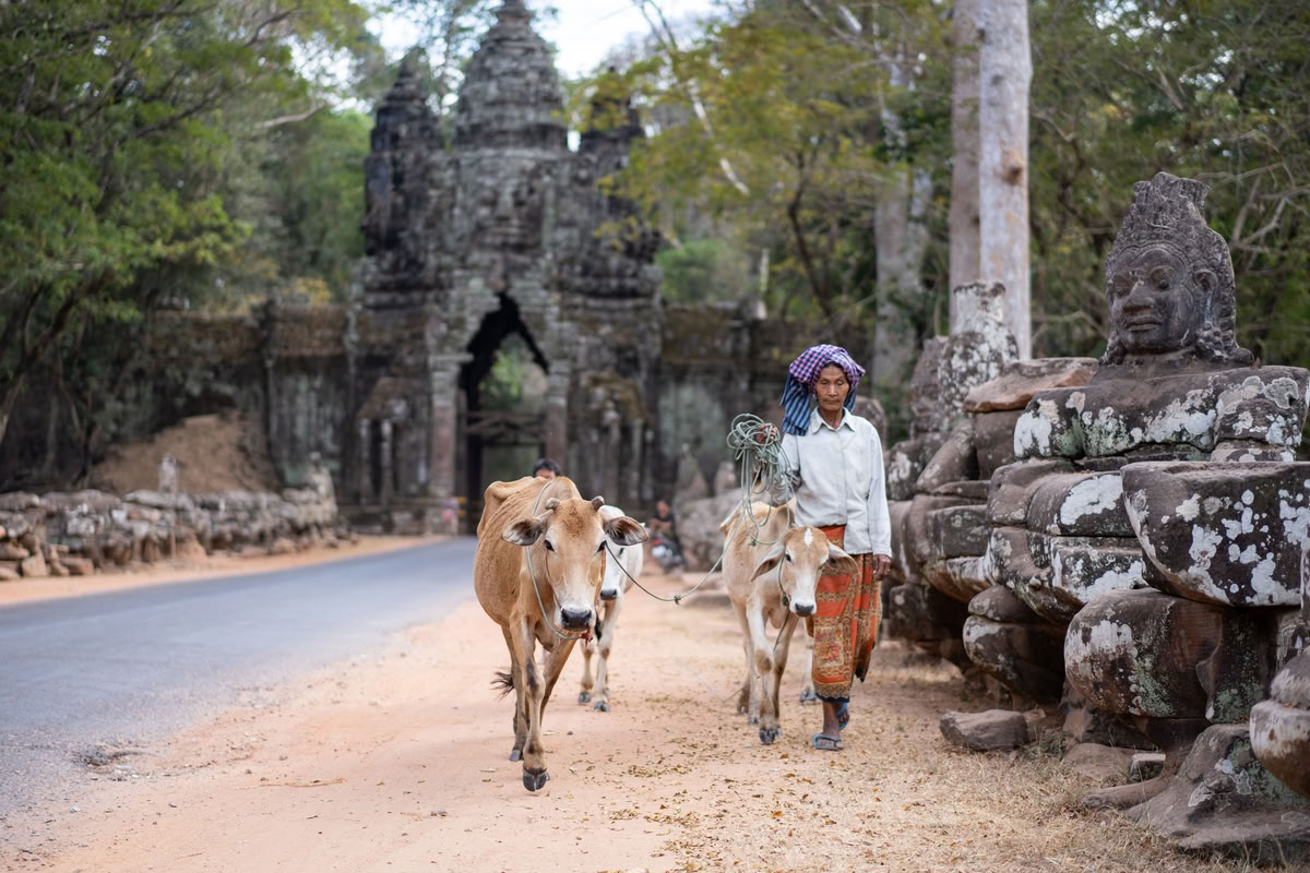 Que faire à Siem Reap à part les temples ? 12 idées 2026