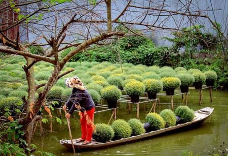 Visiter Sadec Vietnam : charmante petite ville coloniale au sud du Vietnam 