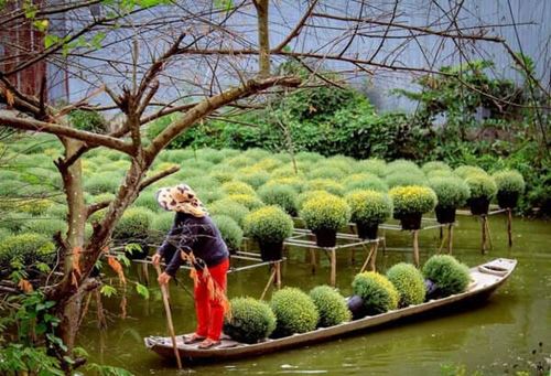 Visiter Sadec Vietnam : charmante petite ville coloniale au sud du Vietnam