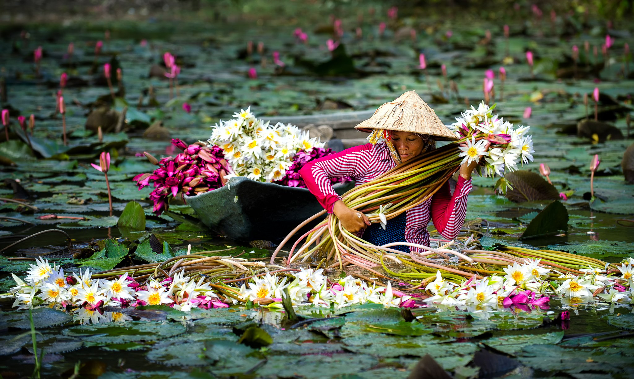 Préparer un voyage au Vietnam: Nos 10 conseils pour partir sereinement