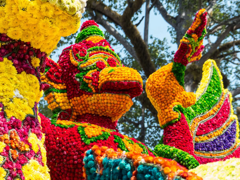 Festival des fleurs, Thailande, Chiang Mai