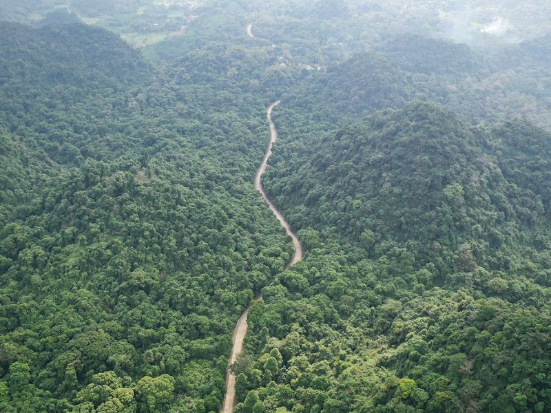 parc national Cuc Phuong