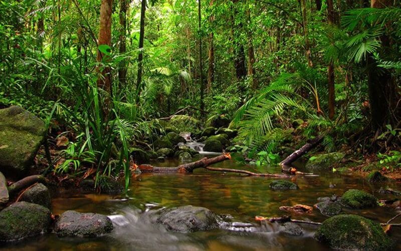 treks dans la forêt de Phu Quoc