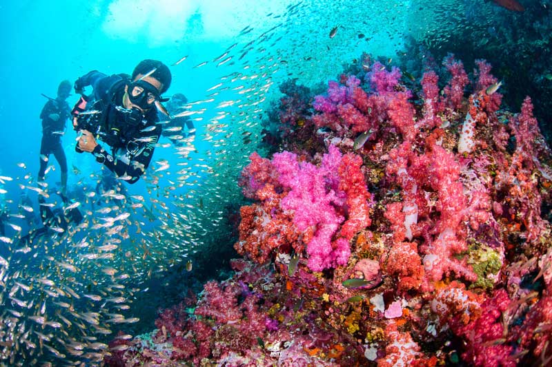 Scuba Diving Richelieu Rock Surin Islands