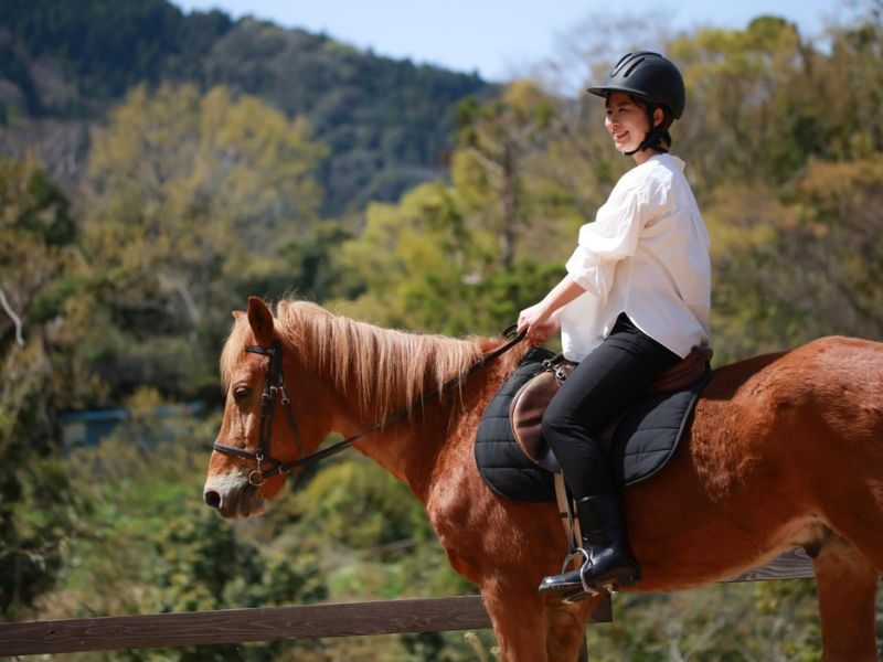 randonne a cheval khao yai