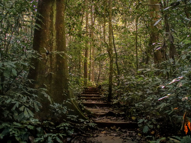 parc national de Cuc Phuong