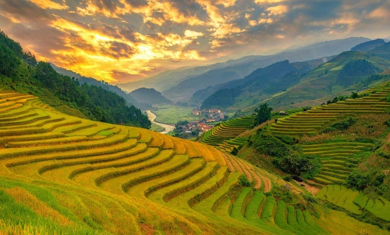 rizieres nord vietnam