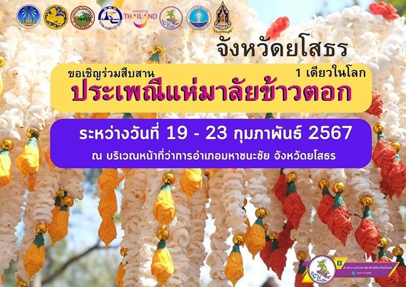 Festival de Hae Malai Khao Tok