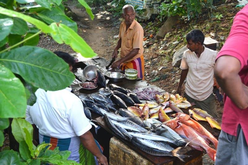 Une poissionerie au Sri Lanka