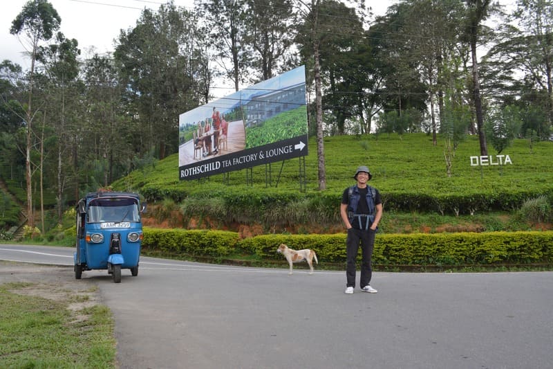 Voyage au Sri Lanka