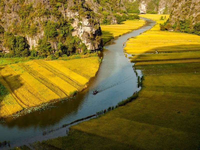 tam coc