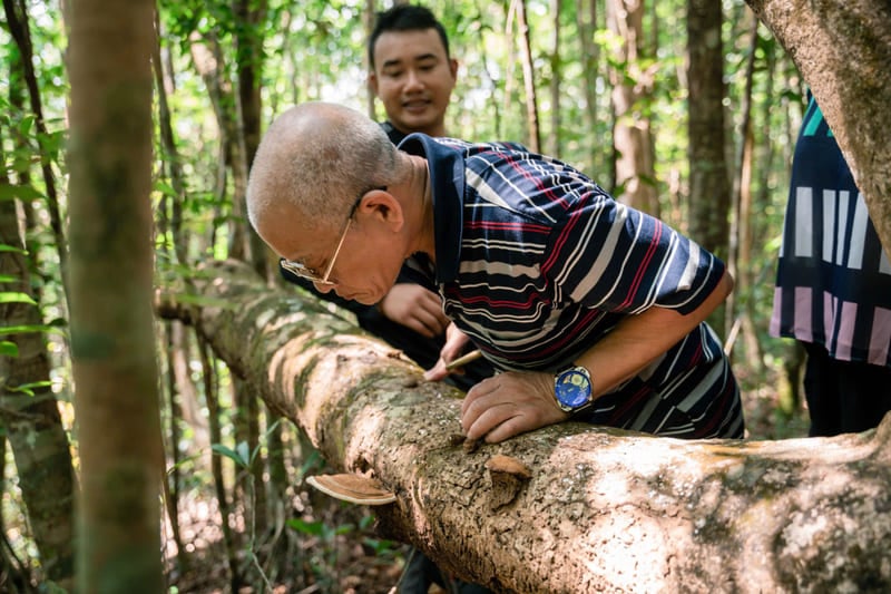 Parc National de Phu Quoc