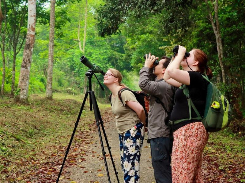 touristes internationaux explorent le parc national