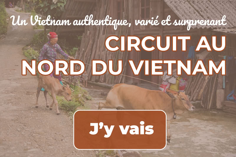 circuit nord au vietnam