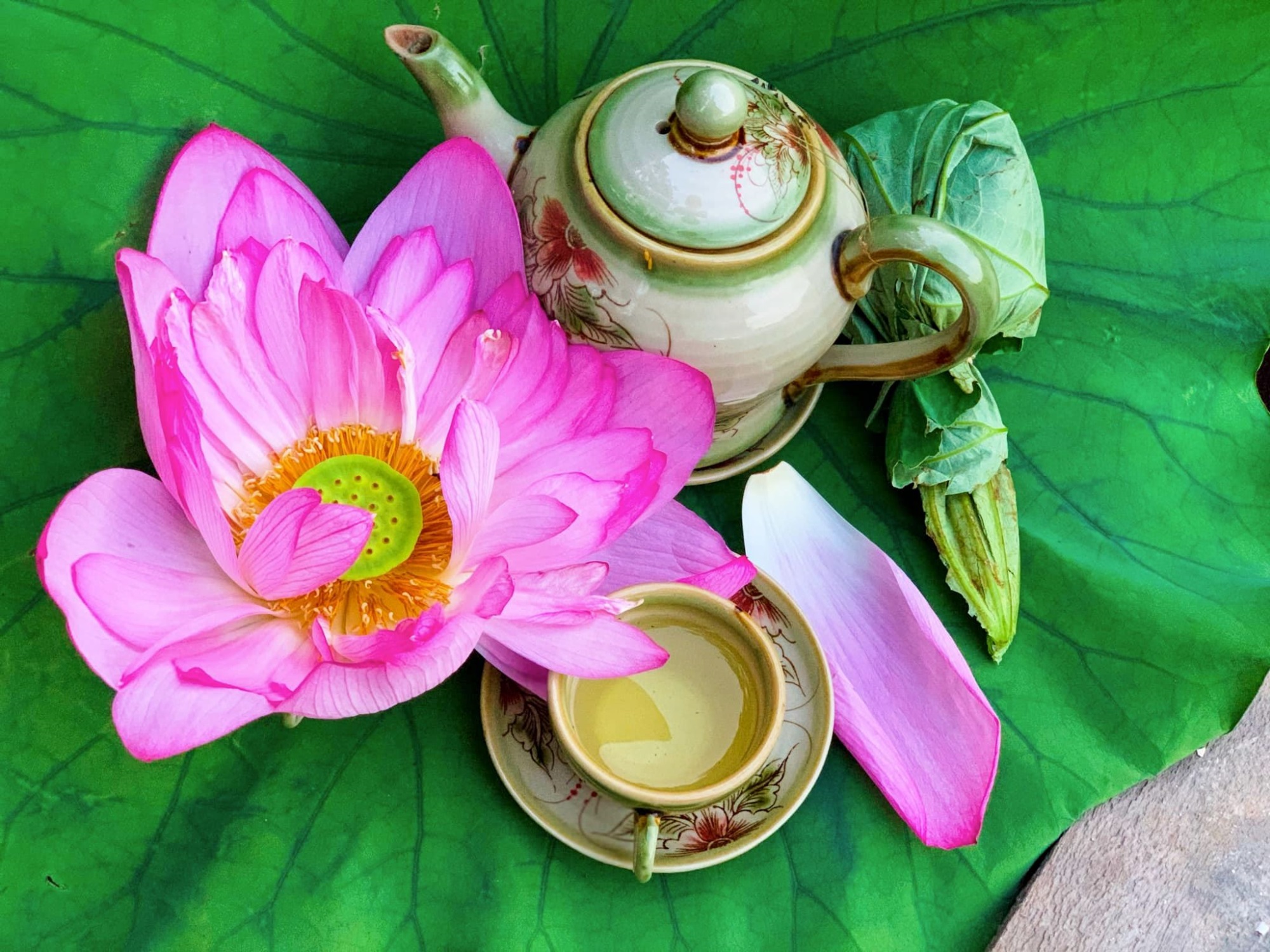 Le thé de lotus 