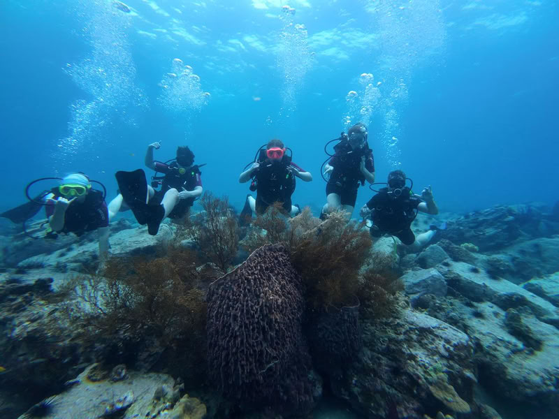Condor Reef est souvent présenté comme la plus belle plongée du pays 