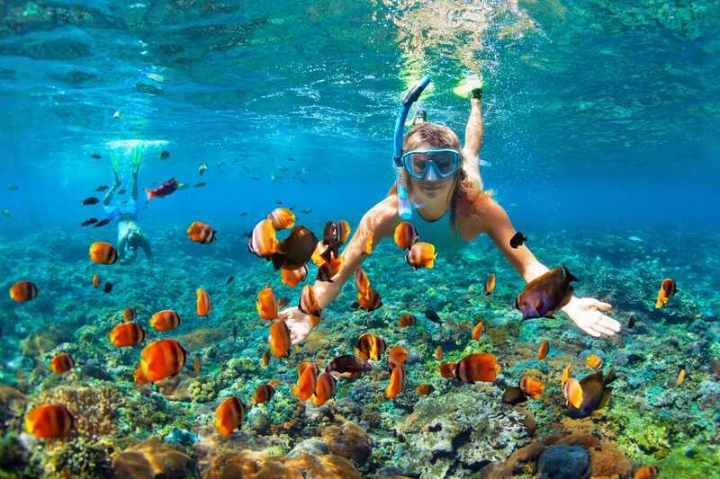 Snorkeling et Plongée à Mirissa