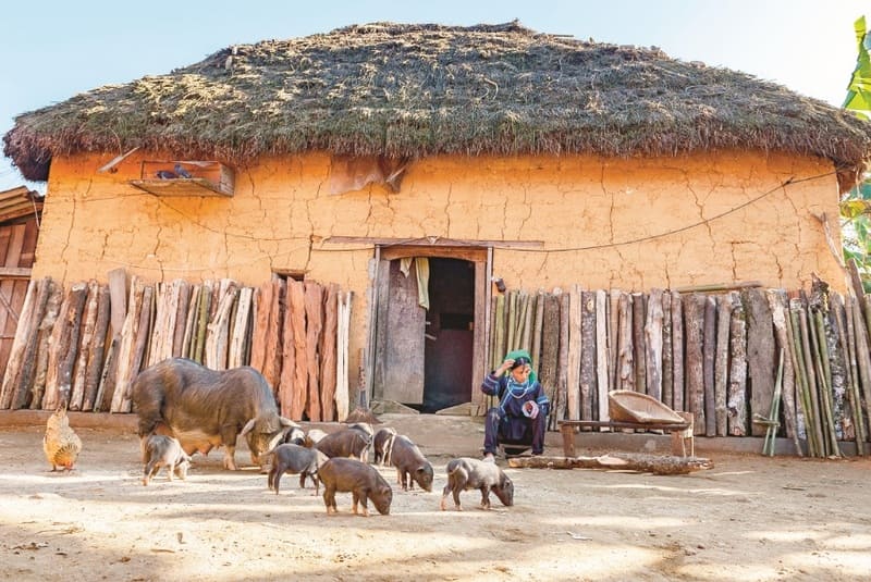 Maison en terre battue (Nhà trình tường)