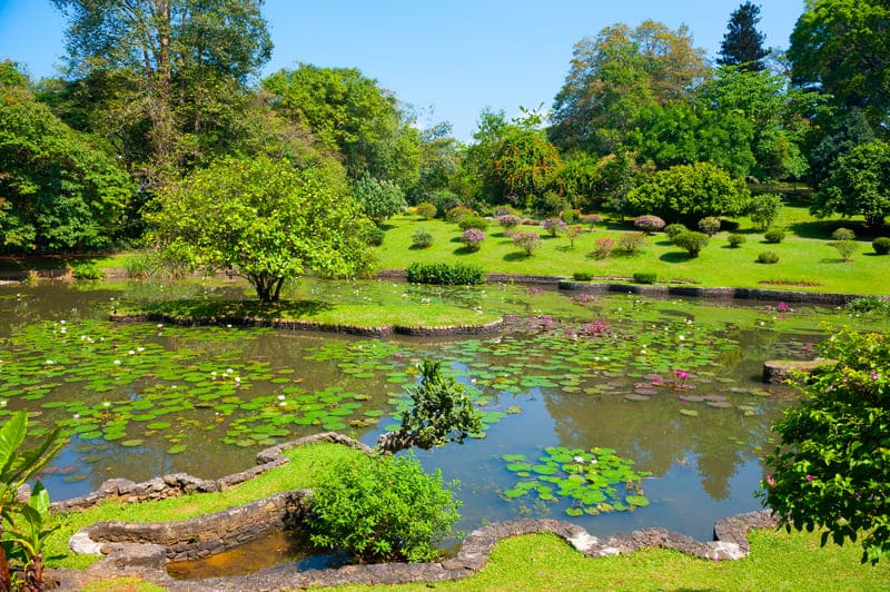 Jardin Botanique de Peradeniya