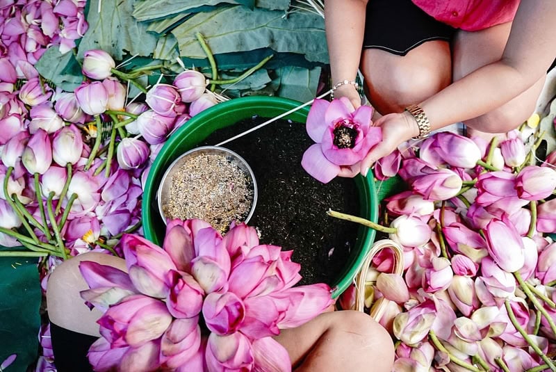Le thé au lotus de Tay Ho est le cadeau gourmand le plus raffiné de la capitale