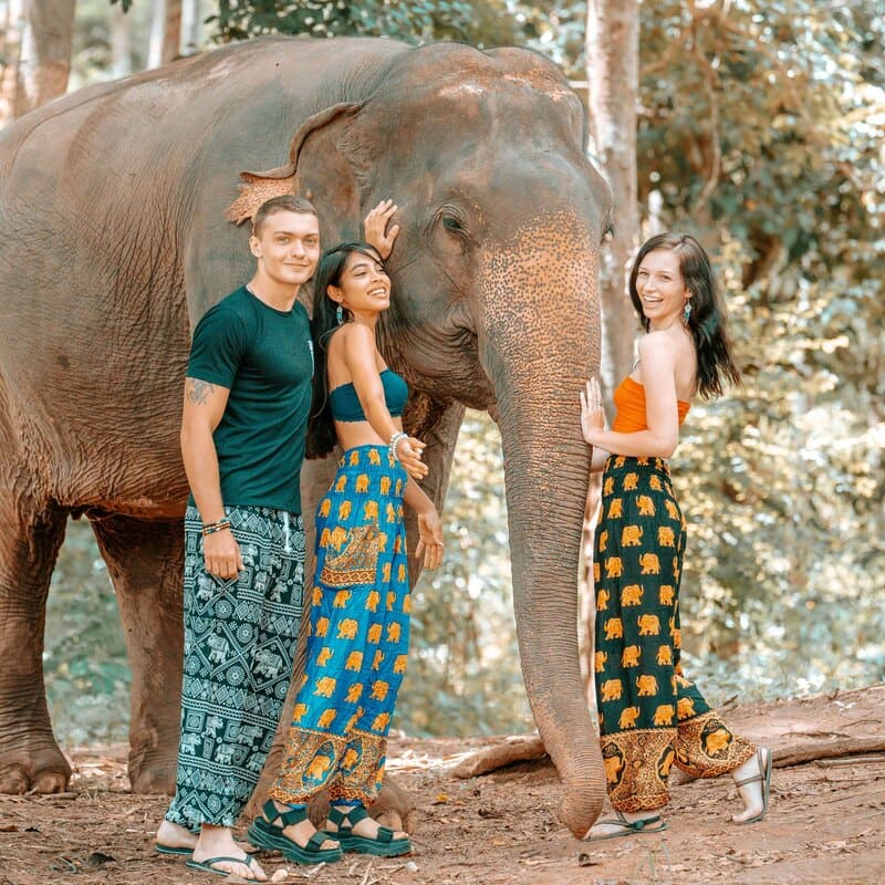 Pantalon à motifs éléphants