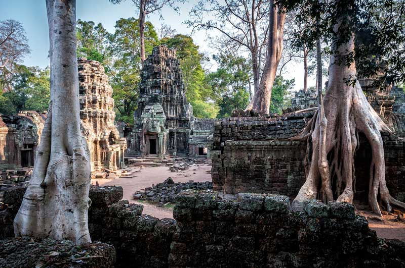 temple Ta Prohm à Angkor