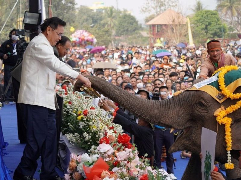 festival elephant