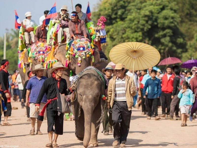 festival elephants