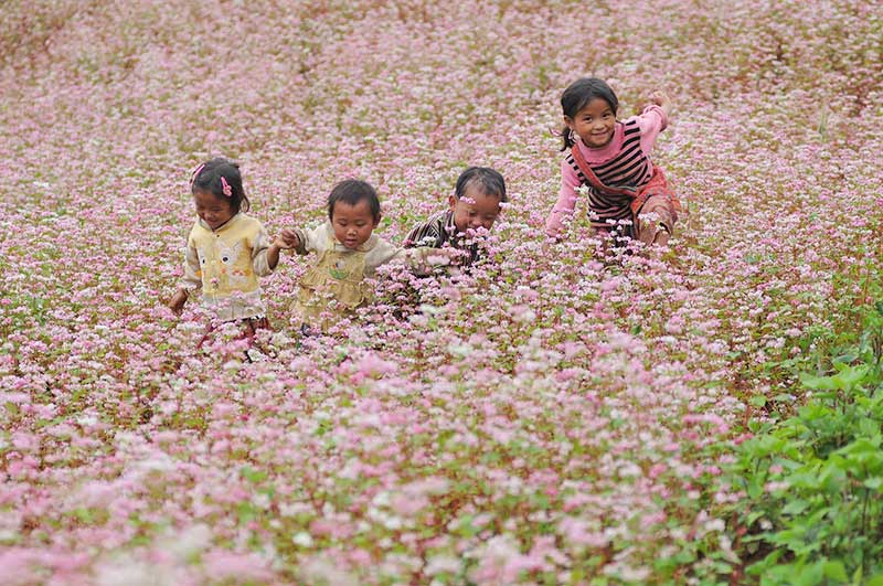 vietnam en novembre ha giang