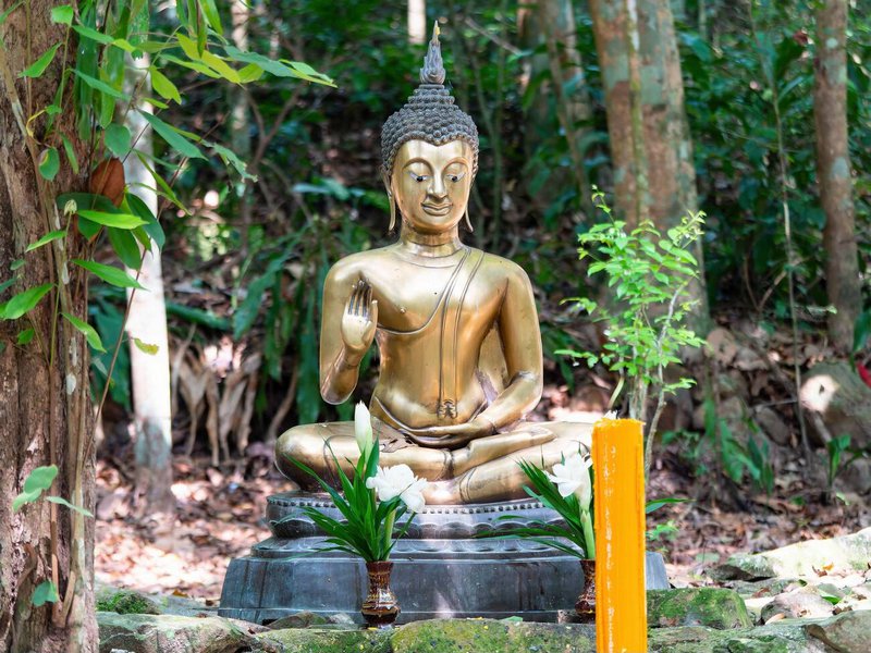 Image de Bouddha dans la forêt à Wat Suan Mokkh