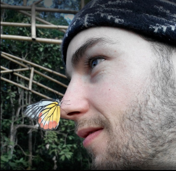 Un papillon s''est posé sur le nez d''un visiteur.