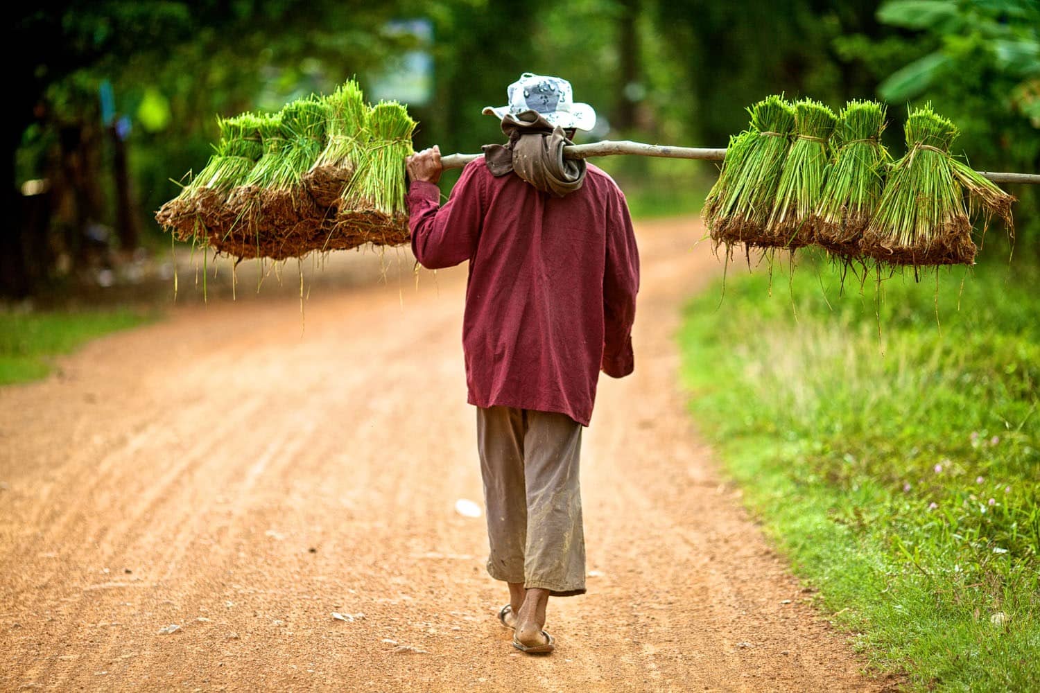 que faire au cambodge