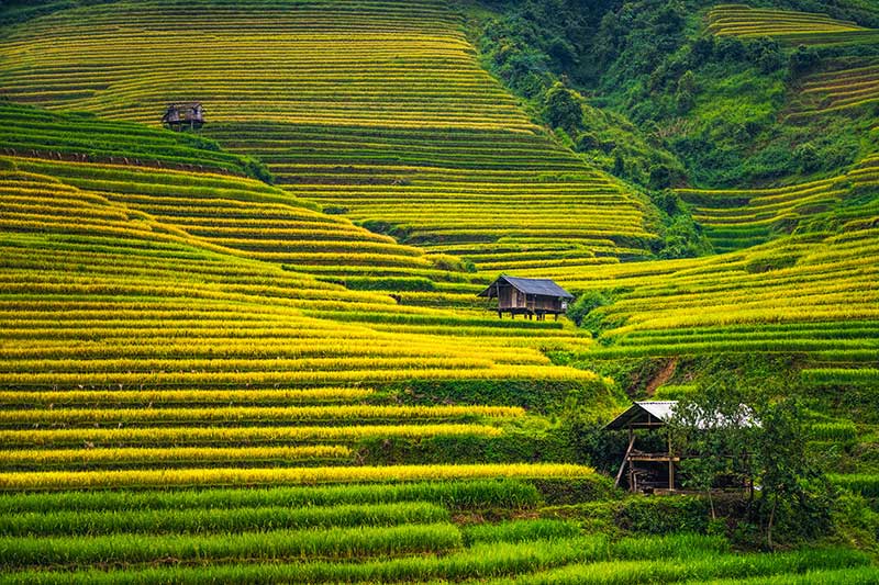 Hoang Su Phi Ha Giang