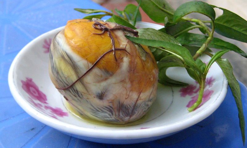 Pong tia koon (l''œuf couvé)