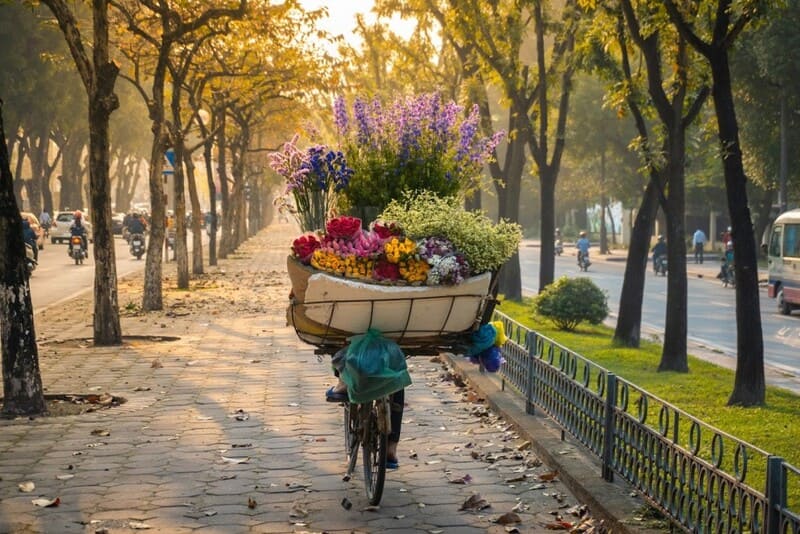 Automne Hanoi