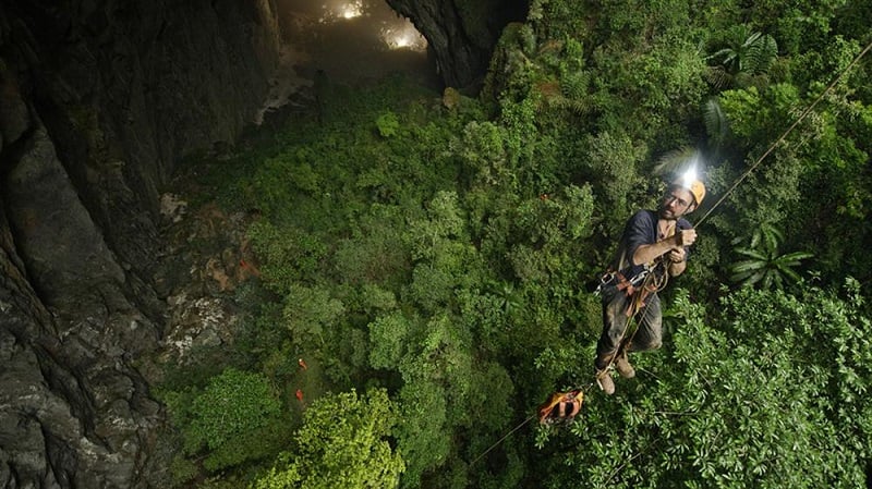 Une jungle tropicale à l''intérieur de la grotte de Son Doong