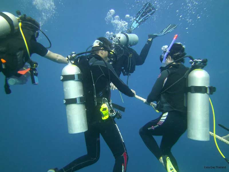 Similan Diving Safaris