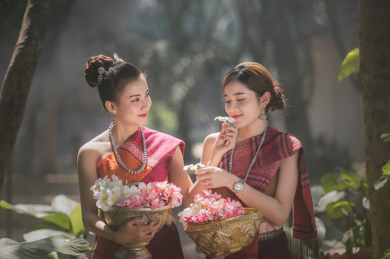 Dork Champa ou fleur de frangipanier du Laos