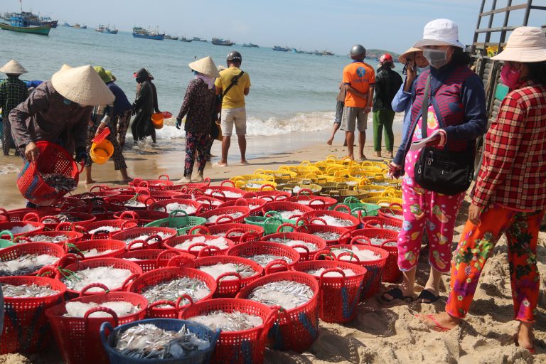 phu quoc
