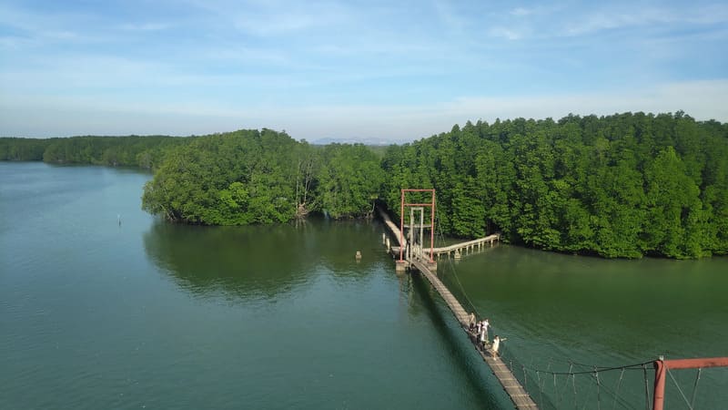la forêt de mangroves de Peam Krasop