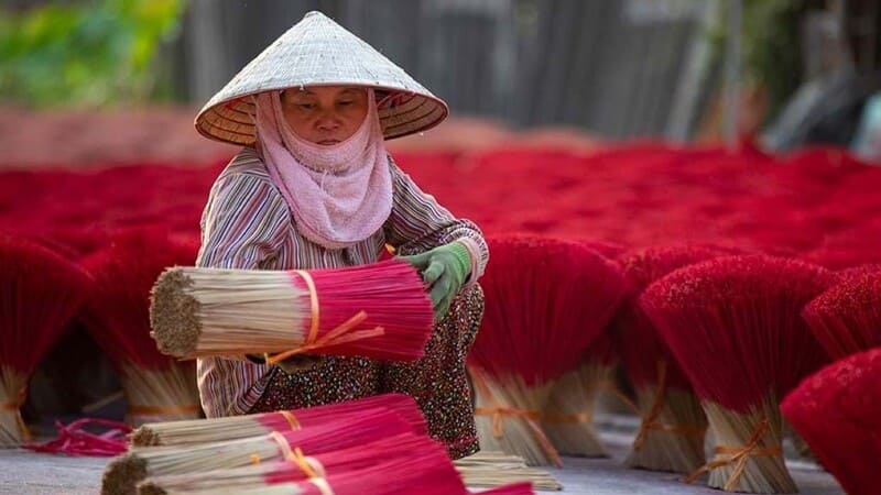 Vietnam: le village de l'encens se pare de rose à l'approche du Nouvel an  lunaire – L'Express