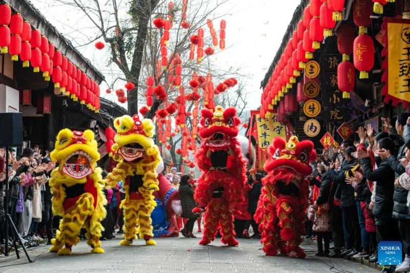 Danse lion, nouvel an chinois