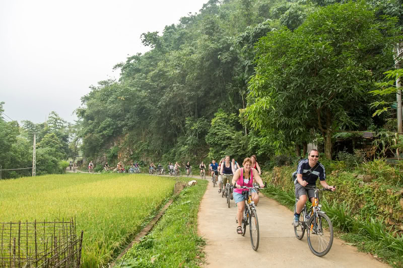 Les balades à vélo à Mai Chau