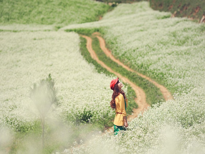 vietnam en janvier