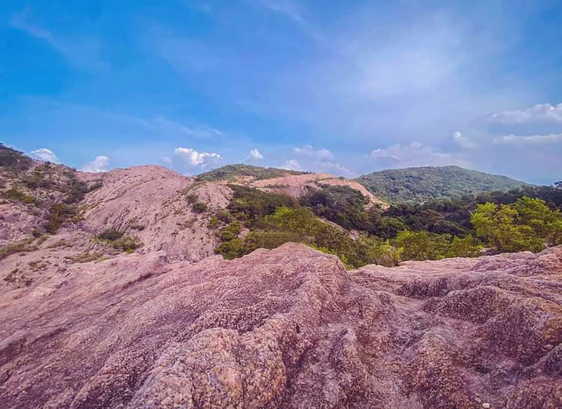 Jathika Namal Uyana