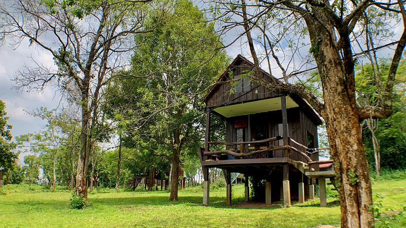 Le Nature Lodge propose des bungalows indépendants