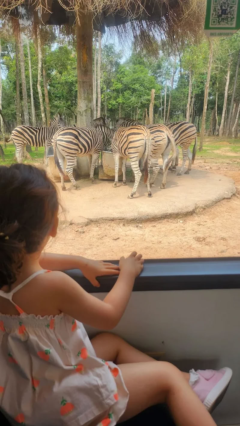 Le Vinpearl Safari convient si :  vous voyagez avec des enfants de 3 à 12 ans 